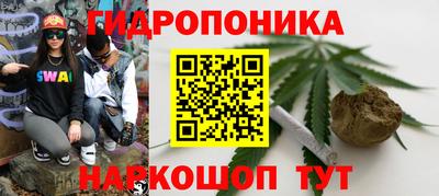 дурь Будённовск